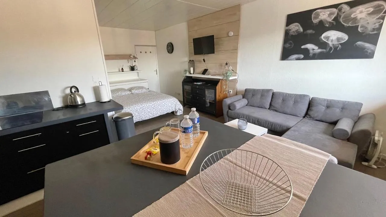 Apartament Studio Cocooning Hauteur De Saint-Raphael #2